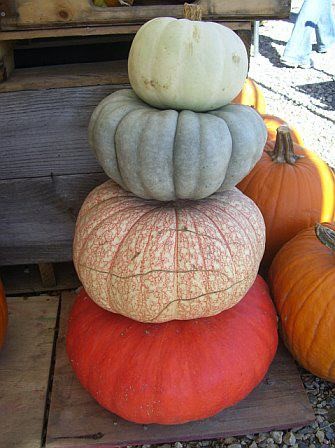 pumpkin stack