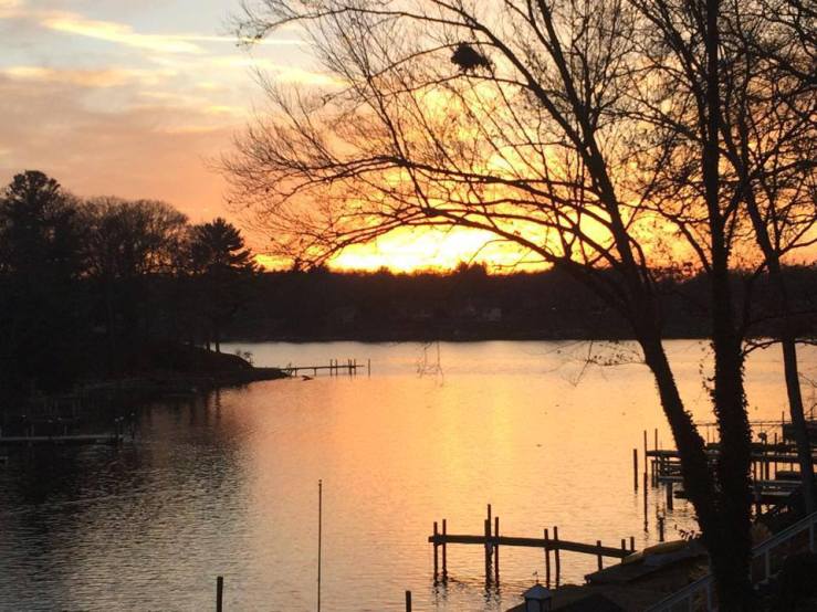 10891618_10205557936298202_5511898877477468057_n